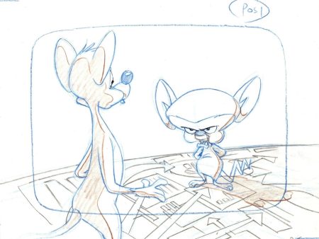 Animaniacs Original Production Drawing: Pinky And Brain For Cheap