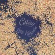 CITAY - LITTLE KINGDOM (CD) For Sale