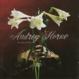 AUDREY HORNE - NO HAY BANDA (CD) on Sale