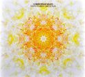 WILLITS,CHRISTOPHER - TIGER FLOWER CIRCLE SUN (CD) For Cheap