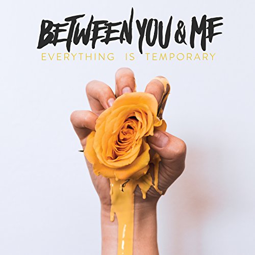 BETWEEN YOU & ME - EVERYTHING IS TEMPORARY (CD) Cheap