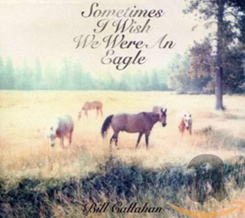 CALLAHAN,BILL - SOMETIMES I WISH WE WERE AN EAGLE (CD) Online now