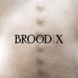 BOSS HOG - BROOD X (CD) For Discount