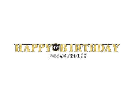 Better with Age Birthday Add-An-Age Paper Letter Banner Decoration Online now